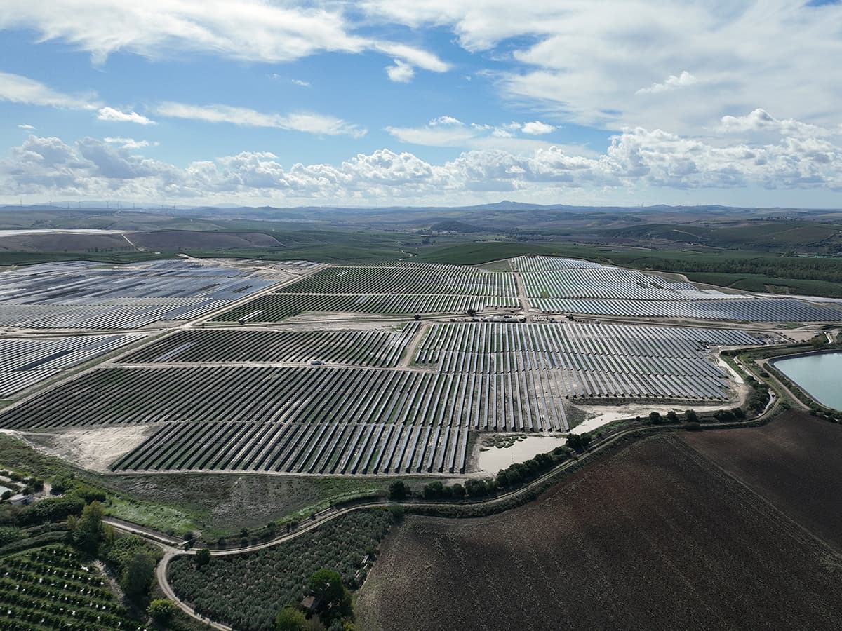 Parque Solar Sigma Repsol Jerez Frontera